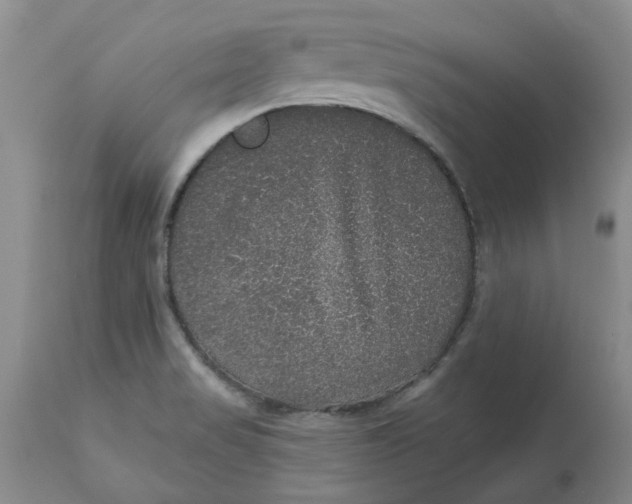 X0000113181517200909251429