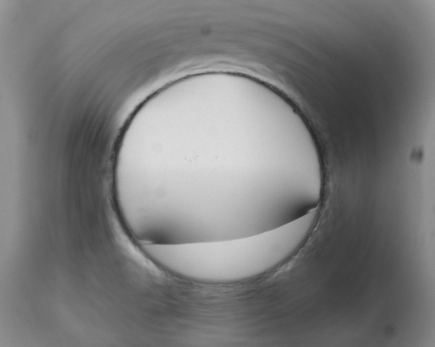 X0000113181518200909251429