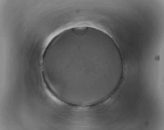 X0000113181519200909251429