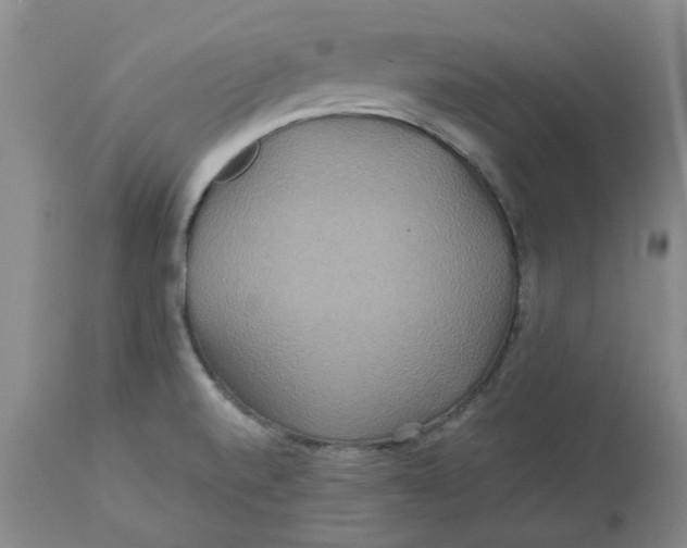 X0000113181520200909251429