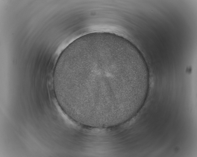 X0000113181521200909251429