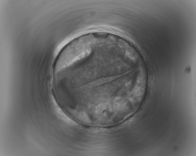 X0000113181522200909251429