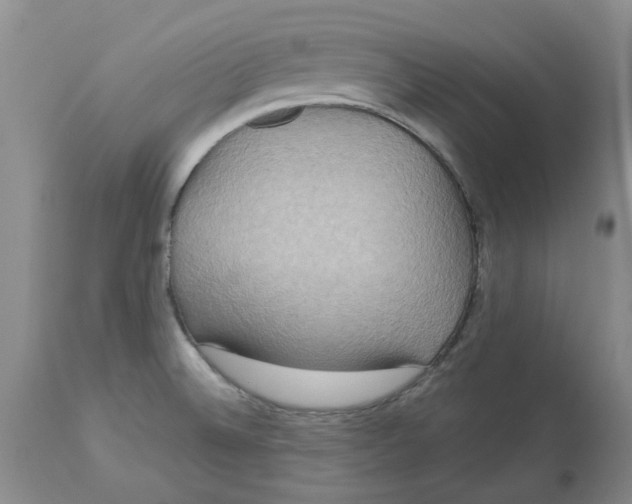 X0000113181524200909251429