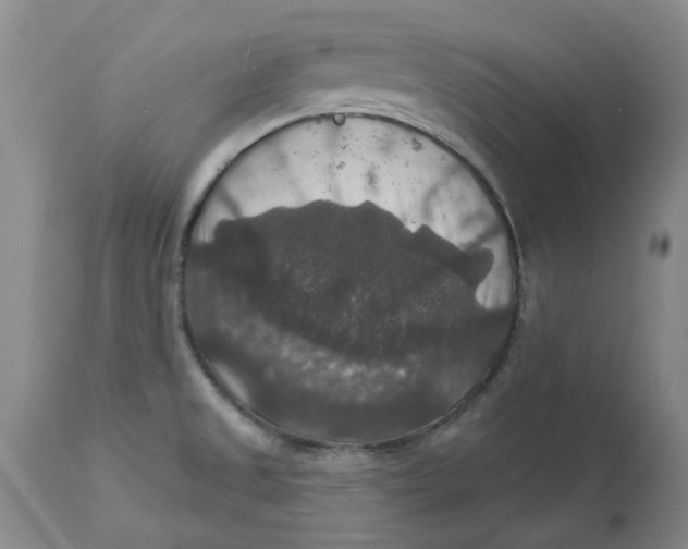 X0000113181525200909251429