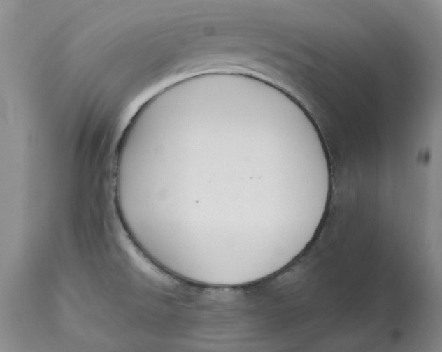 X0000113181526200909251429