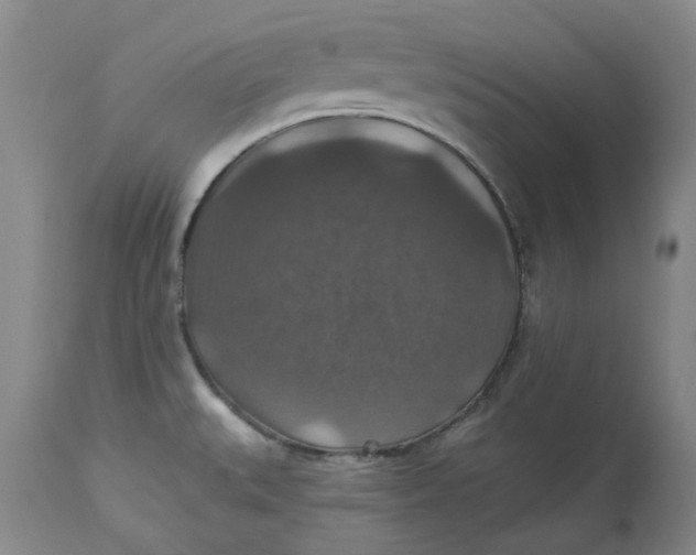 X0000113181527200909251429