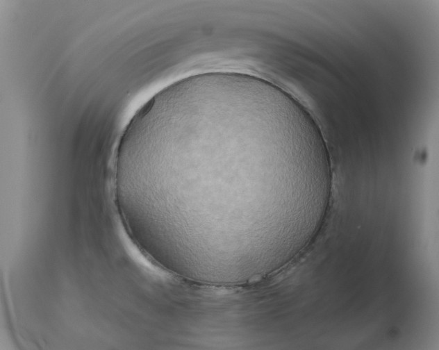 X0000113181528200909251429