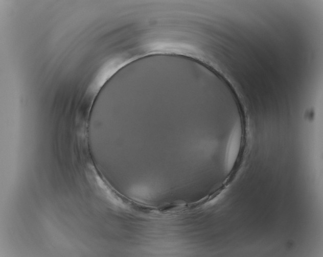 X0000113181529200909251429