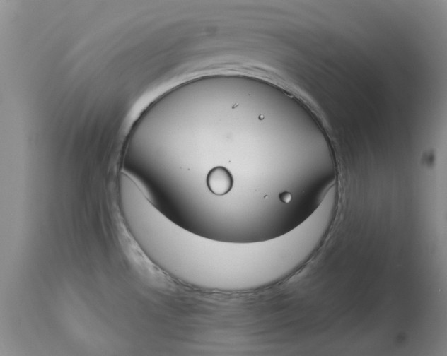 X0000113181530200909251429