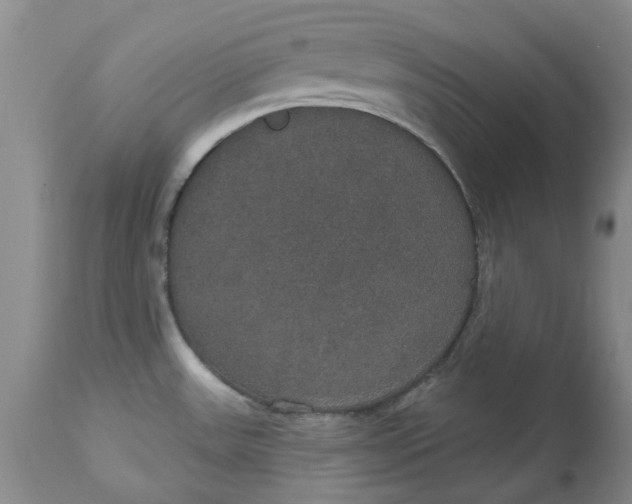 X0000113181531200909251429