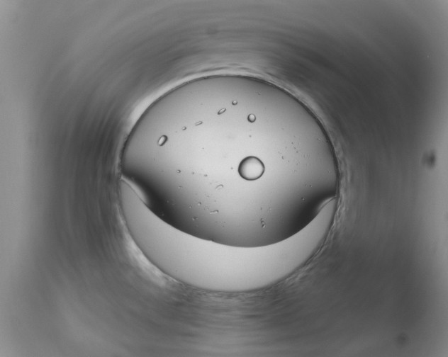 X0000113181532200909251429