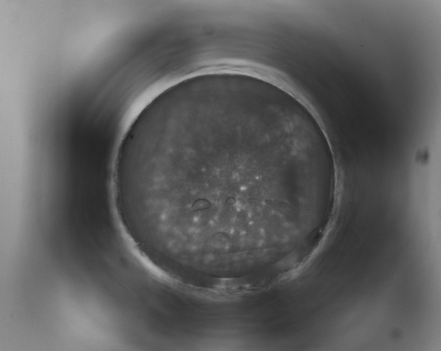 X0000113181533200909251429