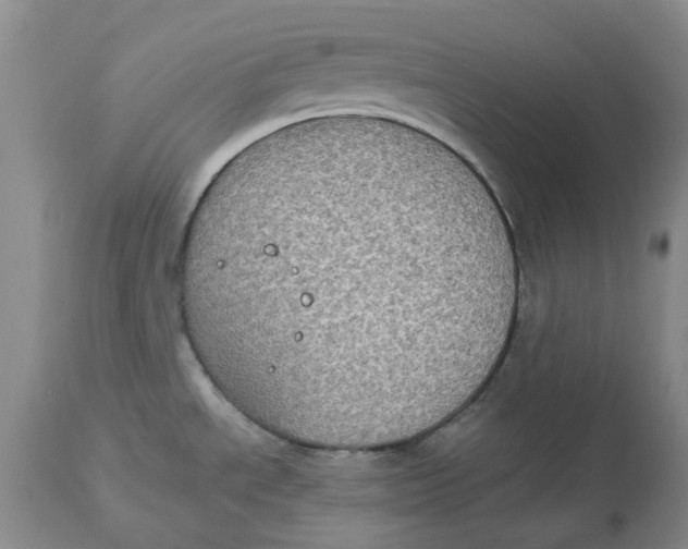 X0000113181534200909251429