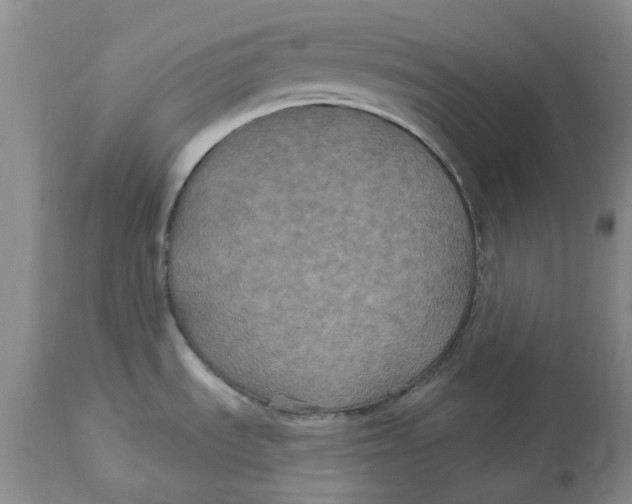 X0000113181535200909251429