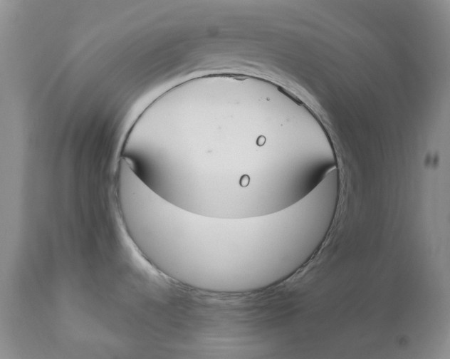 X0000113181536200909251429