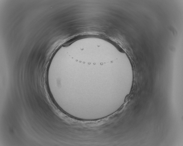 X0000113180001200910021553