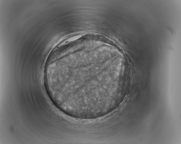 X0000113180002200910021552