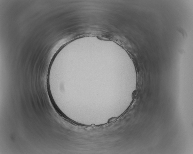 X0000113180003200910021552