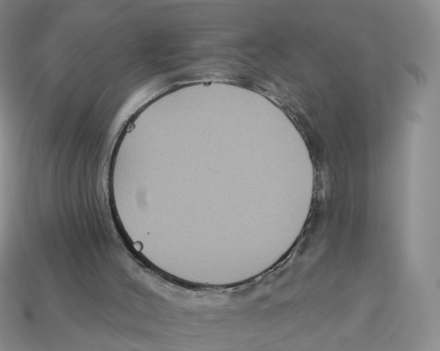 X0000113180004200910021552