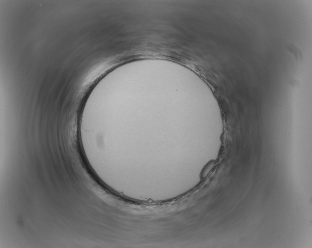 X0000113180005200910021552