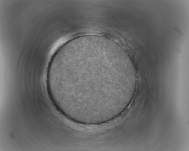 X0000113180006200910021552