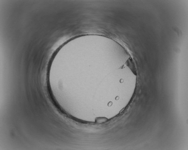 X0000113180008200910021552