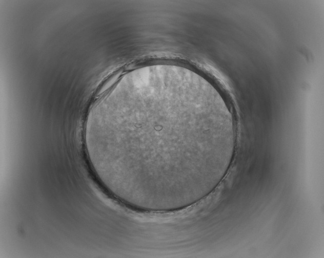 X0000113180009200910021552