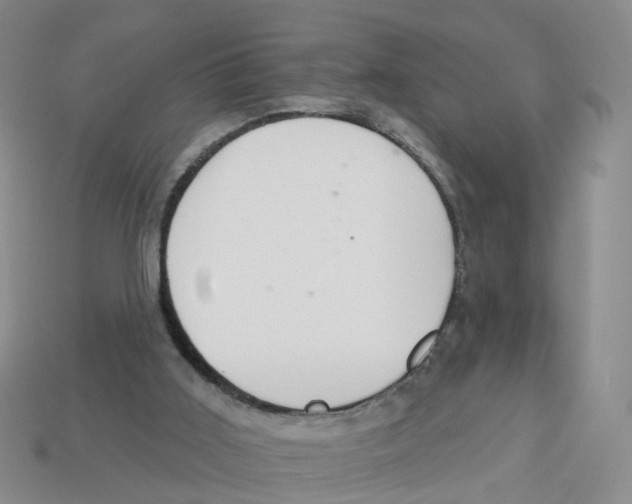 X0000113180011200910021552