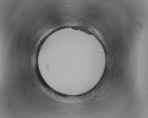 X0000113180012200910021552