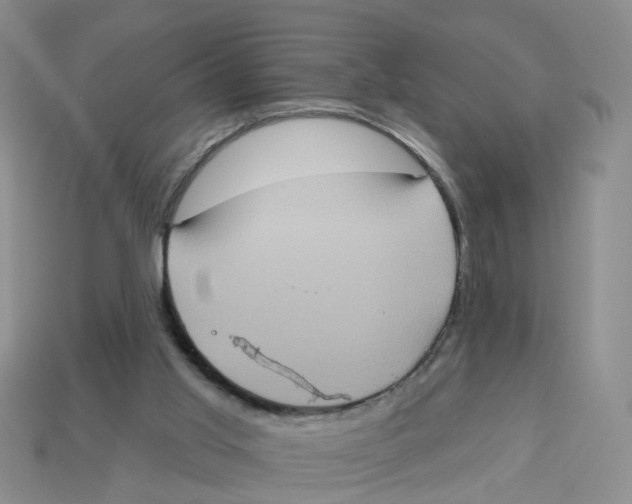 X0000113180013200910021552