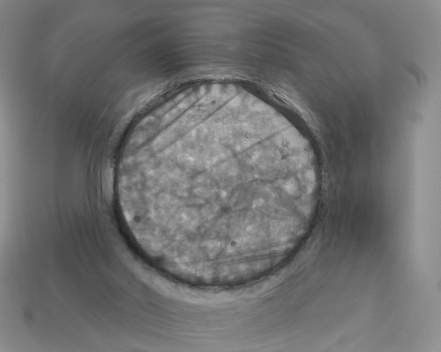 X0000113180014200910021552