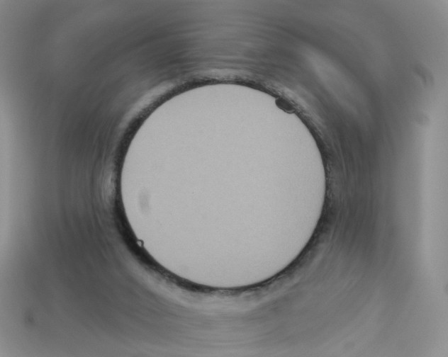X0000113180016200910021552