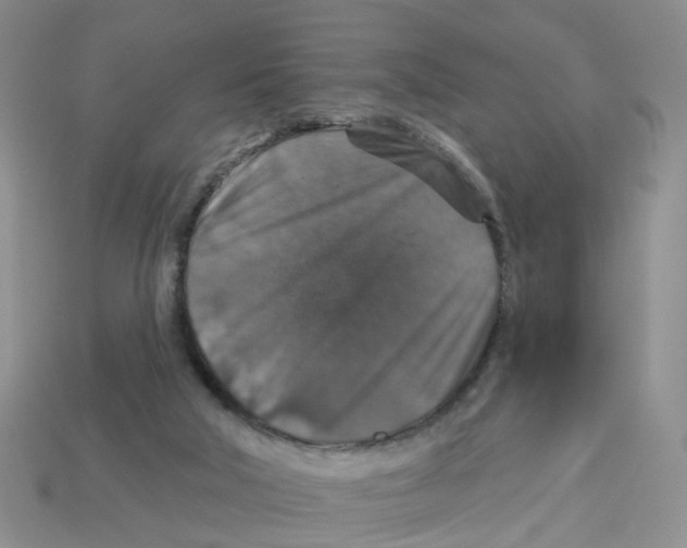 X0000113180018200910021552