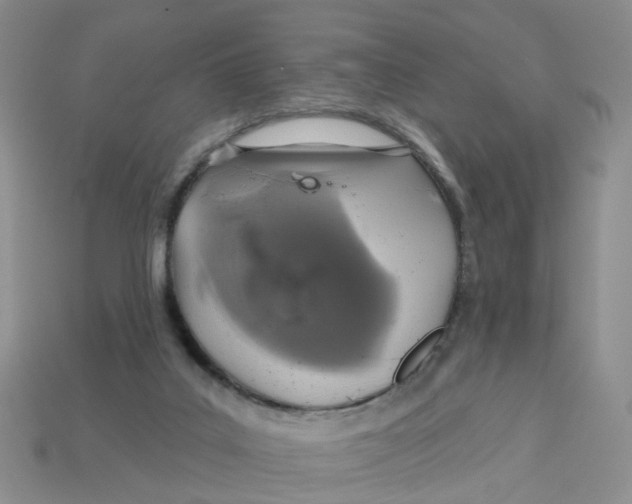 X0000113180019200910021552