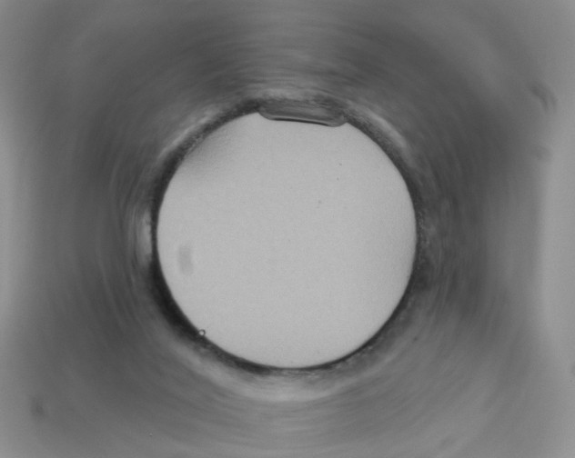 X0000113180020200910021552
