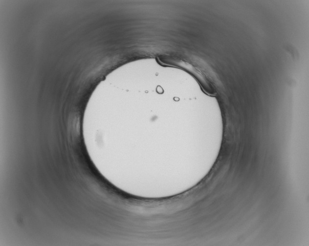 X0000113180021200910021552