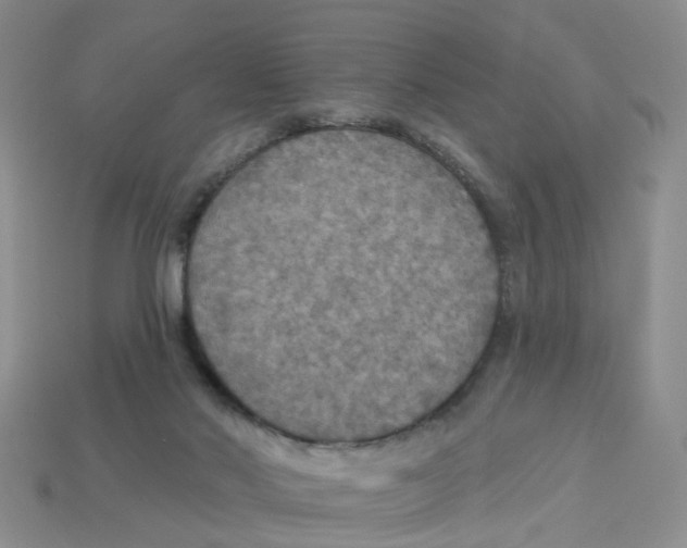 X0000113180022200910021552