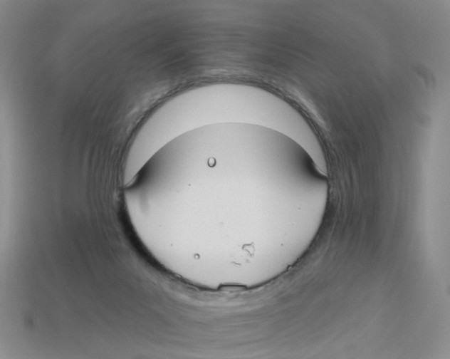 X0000113180023200910021552
