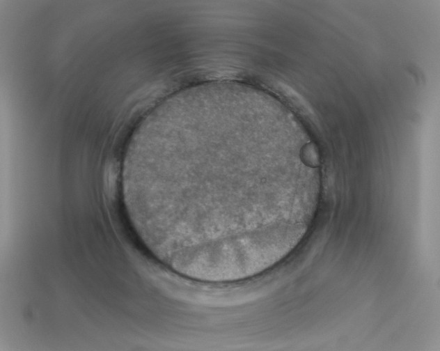 X0000113180026200910021552