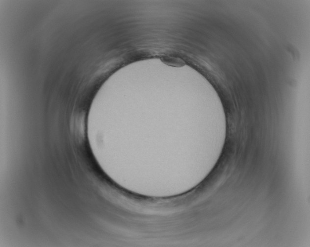 X0000113180028200910021552