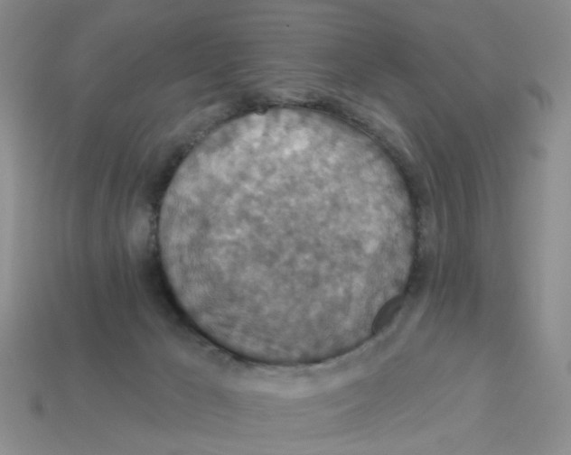 X0000113180029200910021552