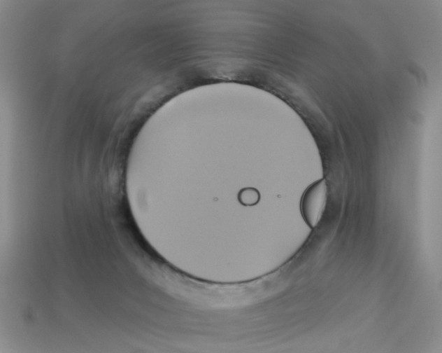X0000113180031200910021552