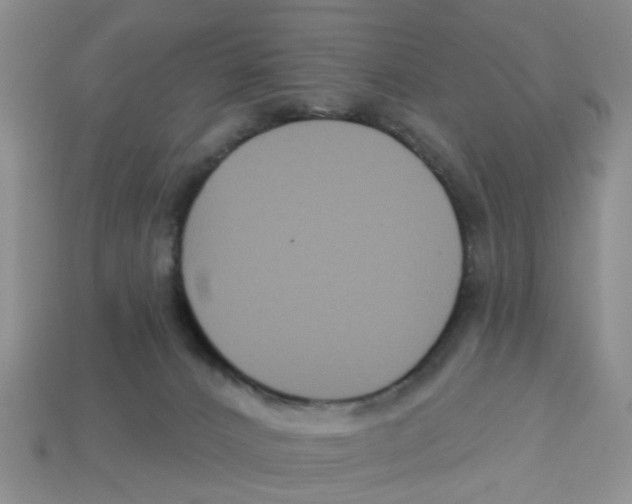 X0000113180032200910021552