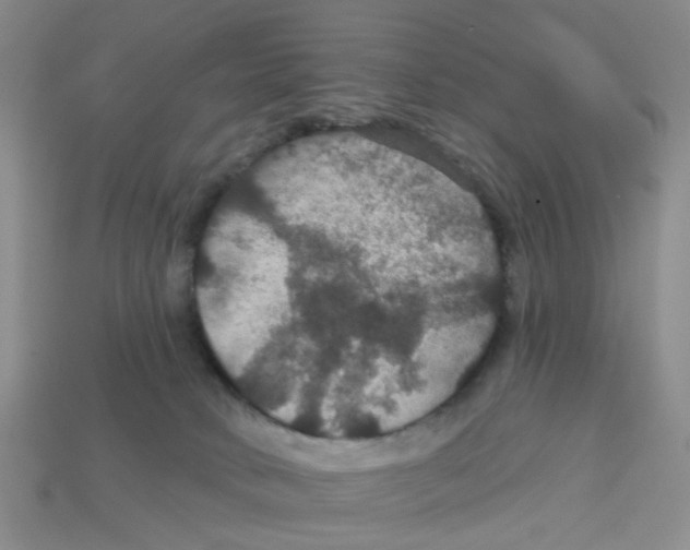 X0000113180034200910021552