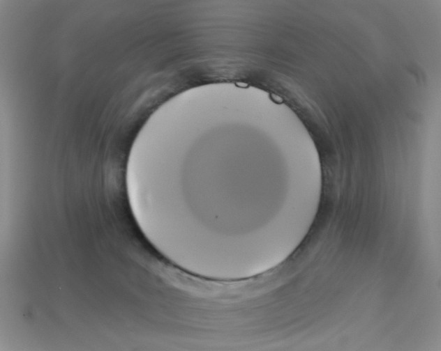 X0000113180035200910021552
