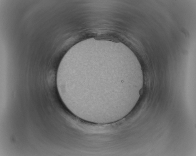 X0000113180036200910021552
