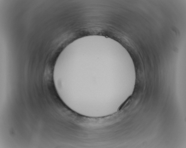 X0000113180037200910021552