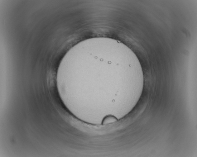 X0000113180038200910021552