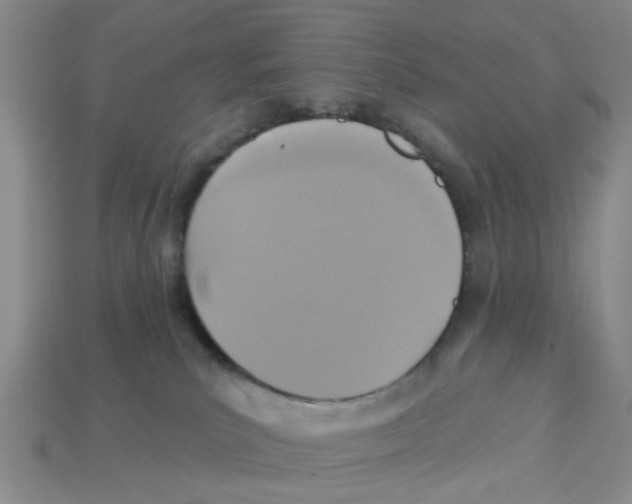X0000113180039200910021552