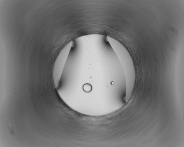 X0000113180041200910021552